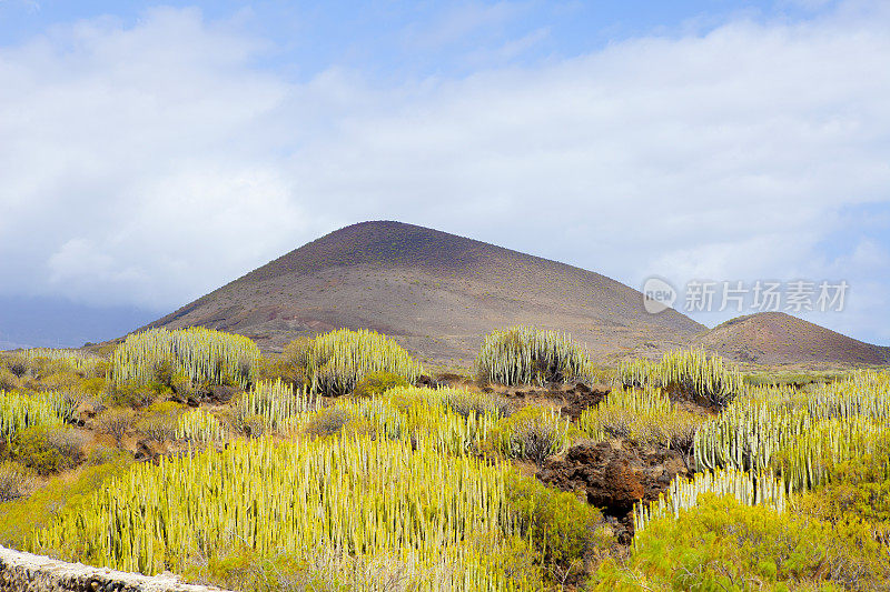 malpais de guimar - Tenerifes自然特别保护区